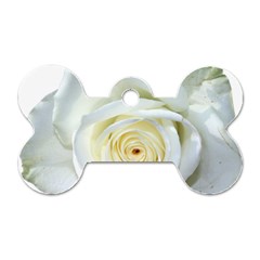 Flower White Rose Lying Dog Tag Bone (one Side) by Nexatart