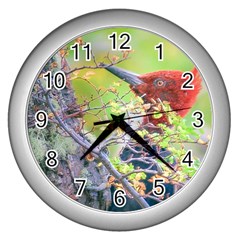 Woodpecker At Forest Pecking Tree, Patagonia, Argentina Wall Clocks (silver)  by dflcprints