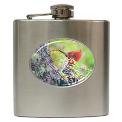 Woodpecker At Forest Pecking Tree, Patagonia, Argentina Hip Flask (6 Oz) by dflcprints