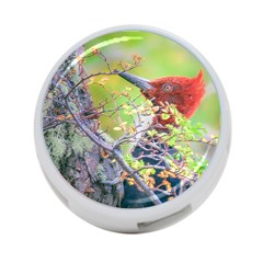 Woodpecker At Forest Pecking Tree, Patagonia, Argentina 4-port Usb Hub (two Sides)  by dflcprints