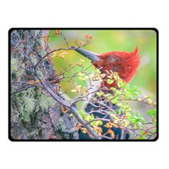 Woodpecker At Forest Pecking Tree, Patagonia, Argentina Fleece Blanket (small) by dflcprints