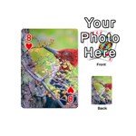 Woodpecker At Forest Pecking Tree, Patagonia, Argentina Playing Cards 54 (Mini)  Front - Heart8