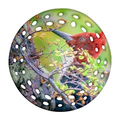 Woodpecker At Forest Pecking Tree, Patagonia, Argentina Round Filigree Ornament (two Sides) by dflcprints