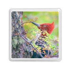 Woodpecker At Forest Pecking Tree, Patagonia, Argentina Memory Card Reader (square)  by dflcprints
