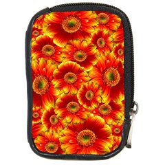 Gerbera Flowers Nature Plant Compact Camera Cases