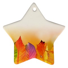 Autumn Leaves Colorful Fall Foliage Star Ornament (two Sides)