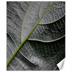 Leaf Detail Macro Of A Leaf Canvas 20  X 24   by Nexatart