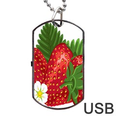Strawberry Red Seed Leaf Green Dog Tag Usb Flash (one Side) by Mariart