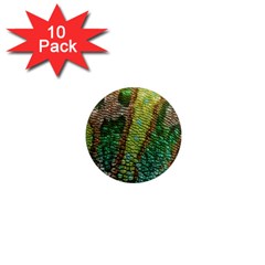 Chameleon Skin Texture 1  Mini Magnet (10 Pack)  by BangZart