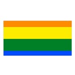 Pride rainbow flag Satin Shawl