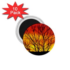 Sunset Abendstimmung 1 75  Magnets (10 Pack) 