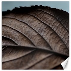 Leaf Veins Nerves Macro Closeup Canvas 16  X 16   by BangZart