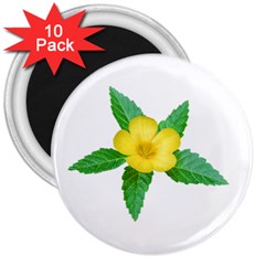 Yellow Flower With Leaves Photo 3  Magnets (10 Pack)  by dflcprints