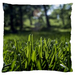 Green Grass Field Large Flano Cushion Case (two Sides) by paulaoliveiradesign