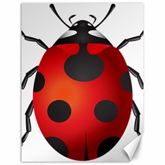 Ladybug Insects Canvas 12  X 16   by BangZart