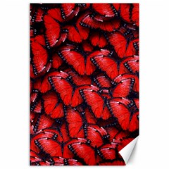 The Red Butterflies Sticking Together In The Nature Canvas 24  X 36  by BangZart