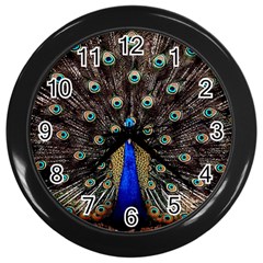 Peacock Wall Clocks (black) by BangZart