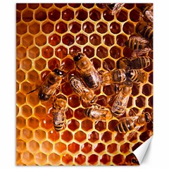 Honey Bees Canvas 8  X 10  by BangZart