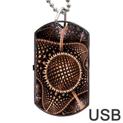 Brown Fractal Balls And Circles Dog Tag Usb Flash (one Side) by BangZart