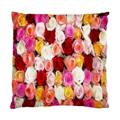 Rose Color Beautiful Flowers Standard Cushion Case (two Sides) by BangZart