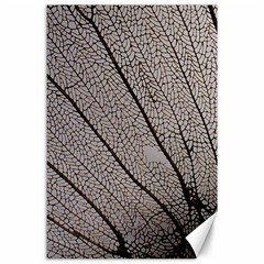 Sea Fan Coral Intricate Patterns Canvas 24  X 36  by BangZart