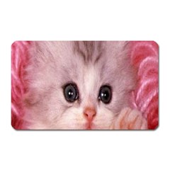 Cat  Animal  Kitten  Pet Magnet (rectangular)