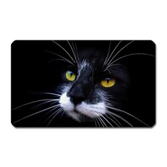 Face Black Cat Magnet (rectangular) by BangZart