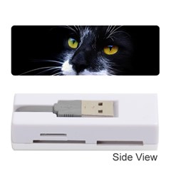 Face Black Cat Memory Card Reader (stick)  by BangZart