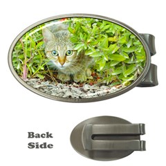 Hidden Domestic Cat With Alert Expression Money Clips (oval)  by dflcprints