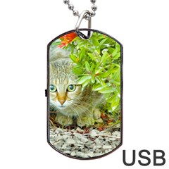 Hidden Domestic Cat With Alert Expression Dog Tag Usb Flash (one Side) by dflcprints