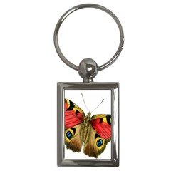 Butterfly Bright Vintage Drawing Key Chains (rectangle) 