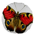 Butterfly Bright Vintage Drawing Large 18  Premium Round Cushions Back