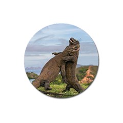 Komodo Dragons Fight Magnet 3  (round)