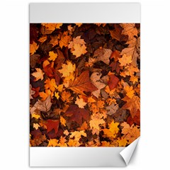 Fall Foliage Autumn Leaves October Canvas 20  X 30   by Nexatart