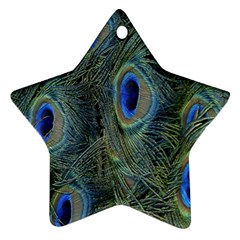 Peacock Feathers Blue Bird Nature Star Ornament (two Sides) by Nexatart