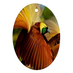 Birds Paradise Cendrawasih Oval Ornament (two Sides) by Mariart