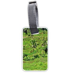 Greenery Paddy Fields Rice Crops Luggage Tags (one Side) 