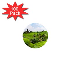 Bali Rice Terraces Landscape Rice 1  Mini Magnets (100 Pack)  by Nexatart