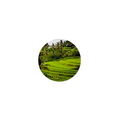 Rice Terrace Terraces 1  Mini Buttons by Nexatart