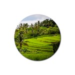 Rice Terrace Terraces Rubber Coaster (Round)  Front