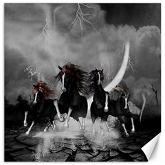 Awesome Wild Black Horses Running In The Night Canvas 12  X 12   by FantasyWorld7