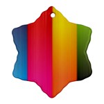 Rainbow Stripes Vertical Lines Colorful Blue Pink Orange Green Ornament (Snowflake) Front