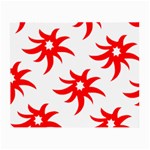 Star Figure Form Pattern Structure Small Glasses Cloth (2-Side) Front