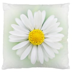 Art Daisy Flower Art Flower Deco Large Flano Cushion Case (two Sides) by Nexatart