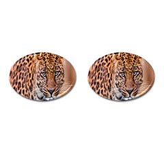 Tiger Beetle Lion Tiger Animals Leopard Cufflinks (oval) by Mariart