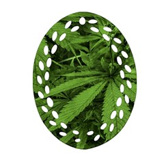 Marijuana Plants Pattern Oval Filigree Ornament (two Sides) by dflcprints