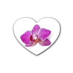 Lilac Phalaenopsis Aquarel  Watercolor Art Painting Heart Coaster (4 Pack)  by picsaspassion