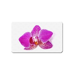 Lilac Phalaenopsis Flower, Floral Oil Painting Art Magnet (name Card) by picsaspassion