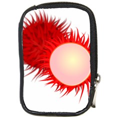 Rambutan Fruit Red Sweet Compact Camera Cases by Mariart