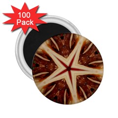 Spaghetti Italian Pasta Kaleidoscope Funny Food Star Design 2 25  Magnets (100 Pack)  by yoursparklingshop